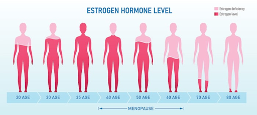 Menopause and Musculoskeletal Health